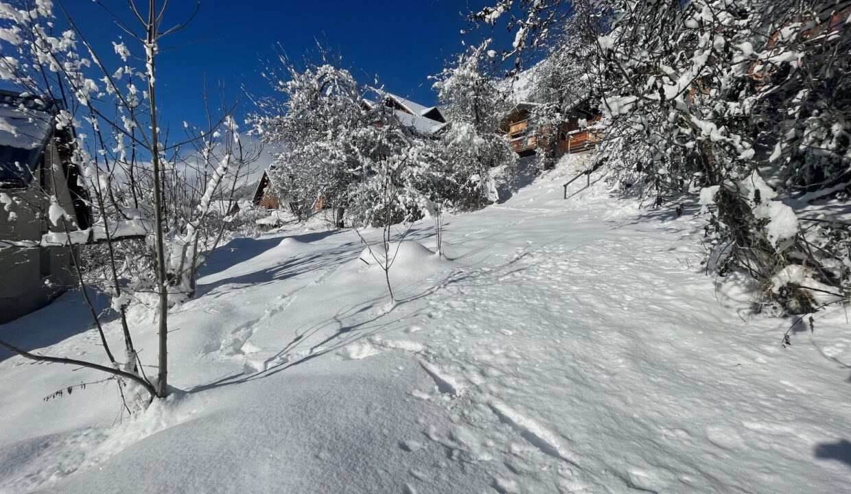 photo_77e41f637c21e92dab594da088e8f015