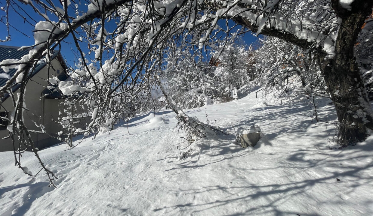 photo_8c3cc38a6058ea3ff5f314cfa9deda75