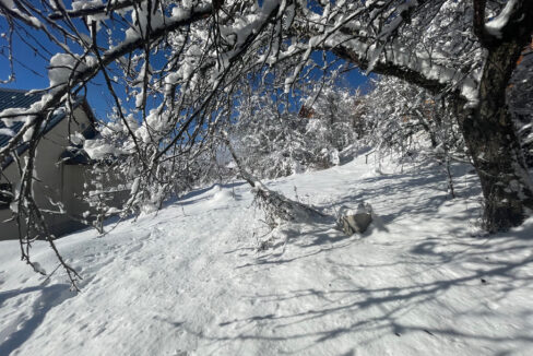 photo_8c3cc38a6058ea3ff5f314cfa9deda75