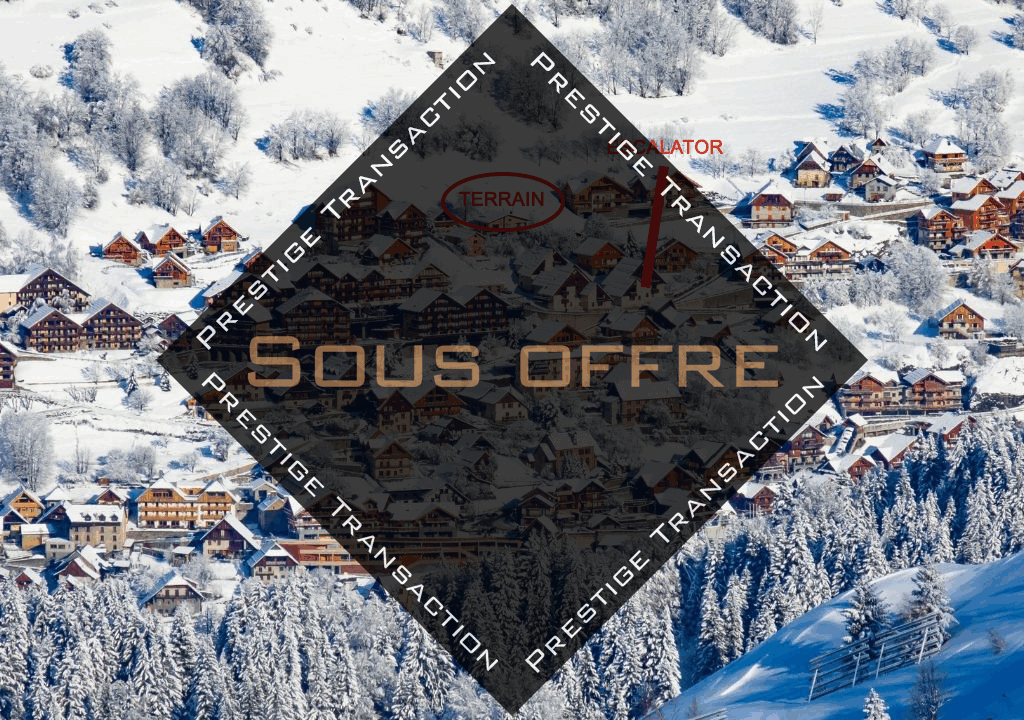 photo_87d2b90028af2d58bc1b9e35f0f12ed7