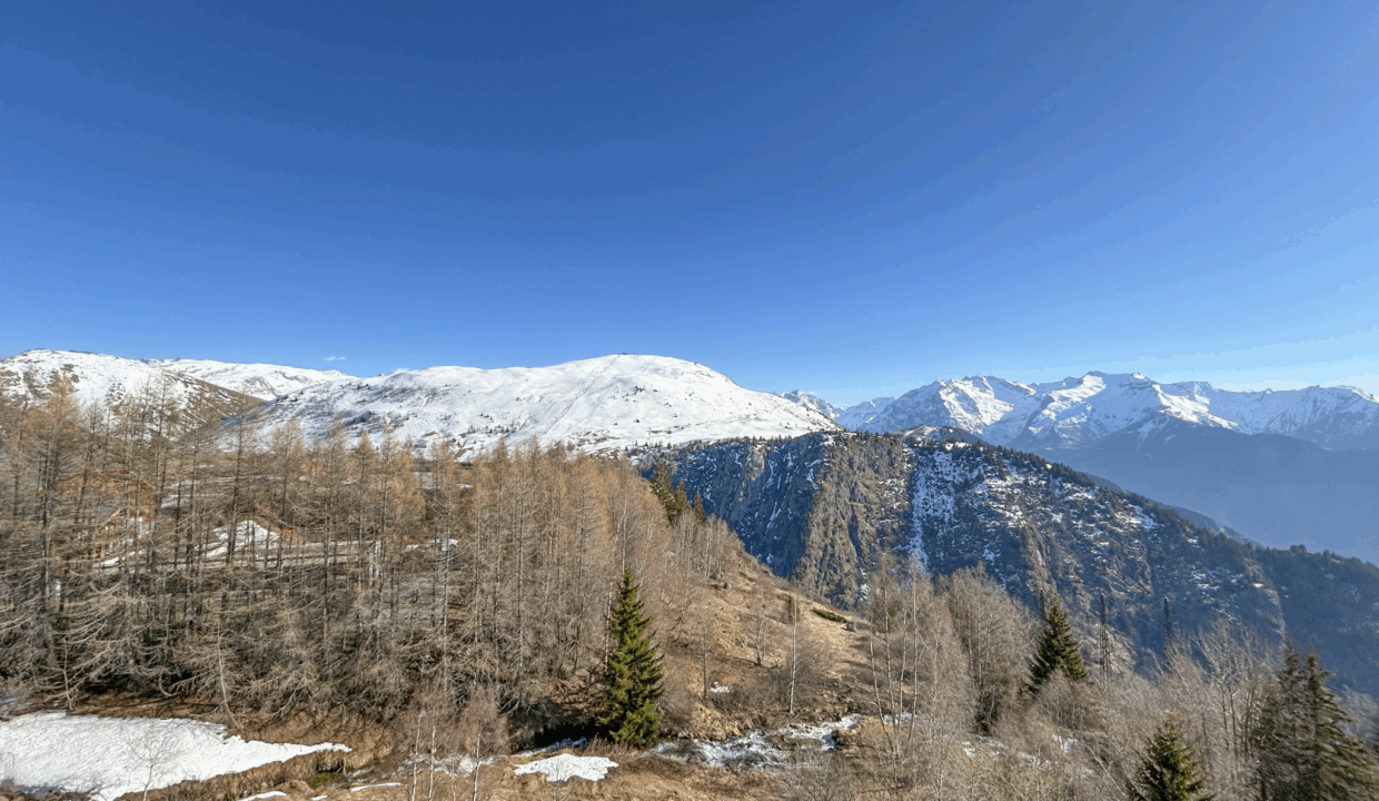 photo_c10c157ce7e130b73562d5414cbf4bbf