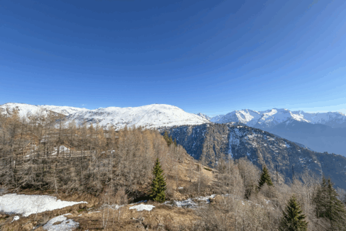 photo_c10c157ce7e130b73562d5414cbf4bbf